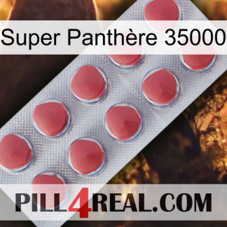 Super Panthère 35000 18